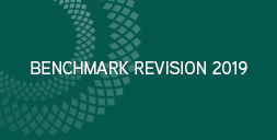 Benchmark revision 2019